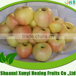 2015 Seasonable Red Crisp Gala Apple in Various of Packing thumbnail-1