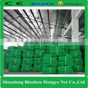 Hongye HDPE Green Color Protective Scaffolding Mesh Net thumbnail-3