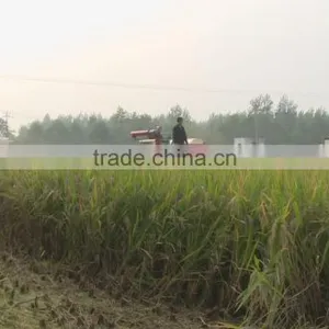 COMBINE HARVESTER FOR RICE, WHEAT, RAPESEED, BARLEY AND OTHER GRANULAR CROP thumbnail-1