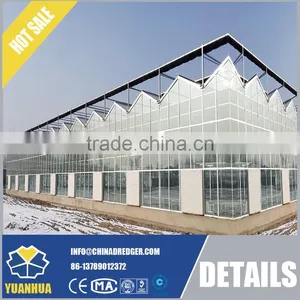 Venlo Type Glass Greenhouse for Vegetable and Flowers Growing thumbnail-6