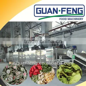 Custom Design Vegetable Dehydration Machine Air Mesh Belt Dryer thumbnail-5
