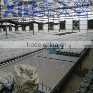 Growing Greenhouse With Competitive Price thumbnail-1
