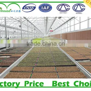 Multi Span Glass Agricultural Greenhouse thumbnail-3