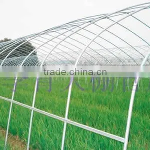 Green House thumbnail-1