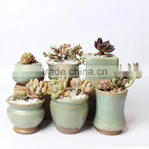 New Design Small Indoor Succulents Ceramic Flower Pots thumbnail-1