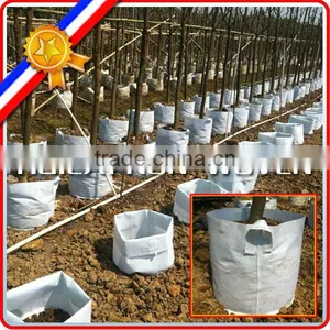 Nonwoven Fabric Grow Bag thumbnail-1