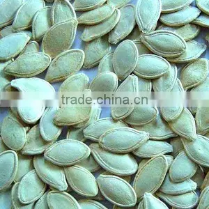 Organic Pumpkin Seed Kernel thumbnail-1
