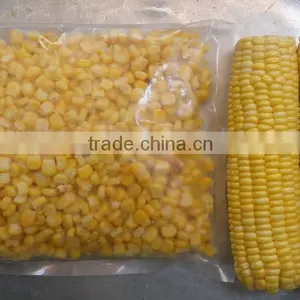 Vietnam Frozen Yellow Sweet Corn Seed thumbnail-1
