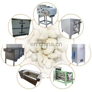 Whole Complete Cashew Cooking Kernel Grading Shelling Separating Machine Cashew Nut Processing Line thumbnail-1