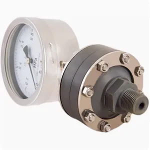 Stable Measurement, Anti-corrosion Joints, Full Range, Special Material PVC Diaphragm Pressure Gauge 2.5 Accuracy 100mm, PVC Diaphragm Pressure Gauge Accuracy 1.6FS Full Range Bottom Connection 100mm, Anti-corrosion Joint thumbnail-2