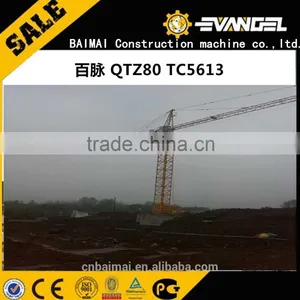 Tower Crane Low Price QTZ100(5613) Tower Crane-baimai Brand thumbnail-1