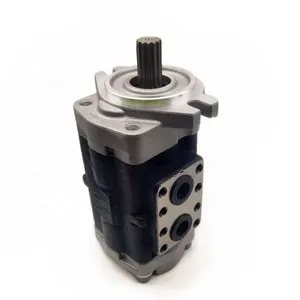 Hydraulic Pump D1A2716R336 Double Gear Oil Pump Replacement for Shimadzu Pump thumbnail-1