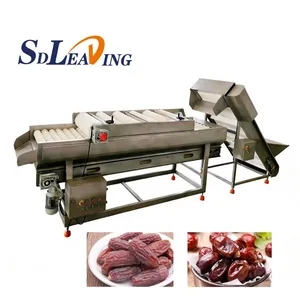 Automatic Industrial Air Bubble Palm Dates Processing Machine Commercial Date Palm Washer Cleaning Machine Dates Cleaner thumbnail-3