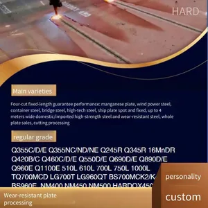 Imported Wear-resistant Steel Plate in Stock, Manufacturer of Wear-resistant Plates, Customizable, Laser Cutting Processing thumbnail-1