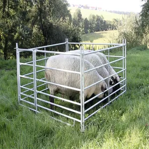 Heavy Duty Galvanized Horse & Cattle Panels for Corral and Livestock Enclosures thumbnail-5