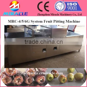 Fast Delivery Date Palm Core Seed Removing Machine From Fruit Process thumbnail-2
