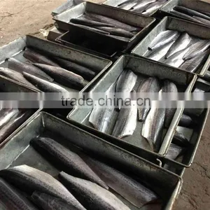 Bone off Frozen Spanish Mackerel Fillet and Scomberomorus Niphonius thumbnail-4