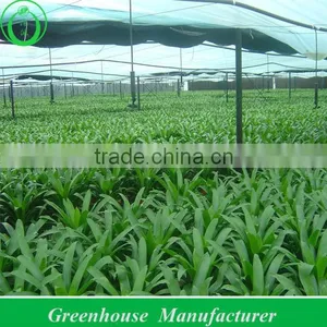 Film Fixer for Greenhouse thumbnail-1