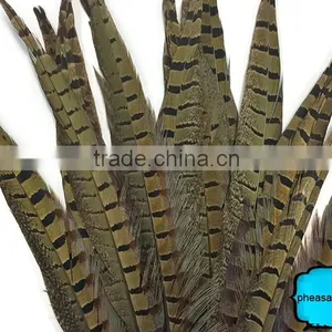 Wholesale Reeves Pheasant Tail Feathers, Natural Pheasant Tail Feathers thumbnail-3
