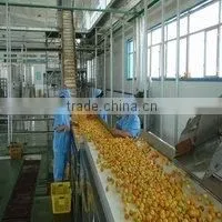 Apricot Puree Concentrate thumbnail-1