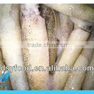 Frozen Squid After Cleaning thumbnail-2