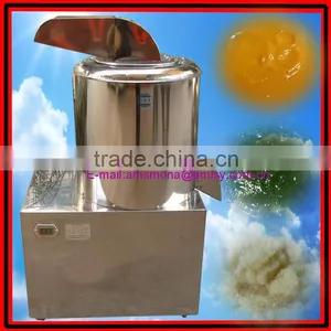 Stainless Steel Garlic Paste Grinding Machine|Large Model Mashed Garlic Making Machine thumbnail-1