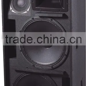 Professional Speaker thumbnail-1