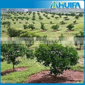 China Plastic Material Drip Tape Irrigation for Agriculture thumbnail-4