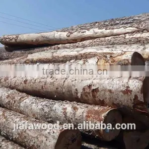 High Quality Birch Logs thumbnail-2