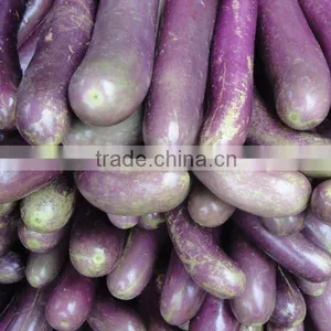 Fresh Vegetables thumbnail-1