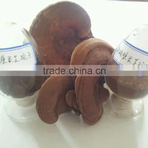 New Arrival Customized Herb Grinder Herb Grinding Mill thumbnail-2