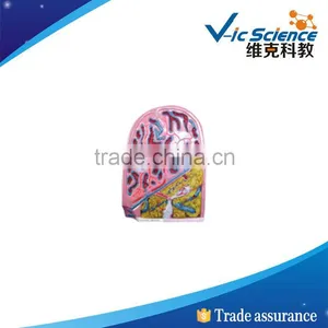 Best Price Good Quality Spleen Structural Model 100% Factory thumbnail-1