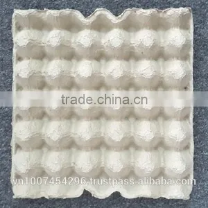 EGG TRAY thumbnail-2
