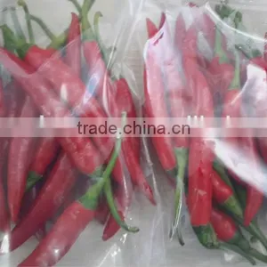 FRESH CHILI thumbnail-1