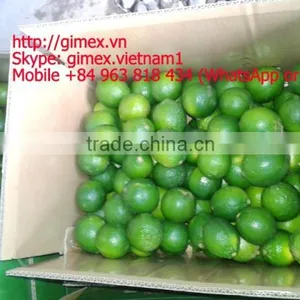 Fresh Lemon Gimex 2015 thumbnail-3