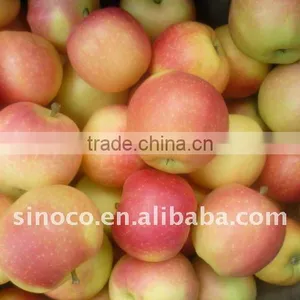 Fresh Gala Apple thumbnail-1