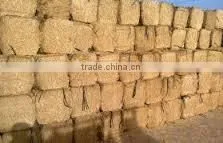 Straw Hay Bale, Wheat Straw Hay, Hay for Animal Feeding, Hay Bale Straw, Wheat Hay thumbnail-1