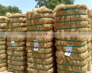 Gafoor Trading Company company overview - view 3 thumbnail