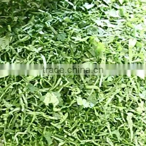 FC-306 Automatic Electric Vegetable Slicer Equipment Shredder Machine thumbnail-6