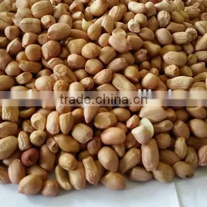 Groundnut Kernels or Peanuts thumbnail-2