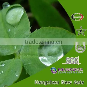 Instant Green Tea Extract Powder thumbnail-1