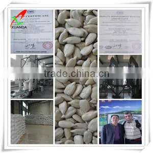 Hulled Sunflower Seed Kernels Bakery Grade thumbnail-5