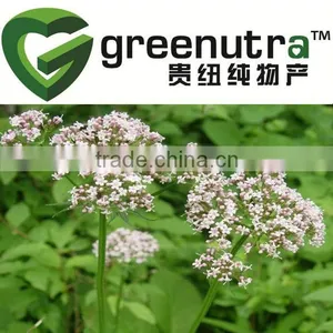 Pure Valerian Root Extract thumbnail-1