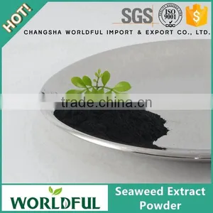 Black Powder Seaweed Extract Organic Fertilizer Soluble Seaweed Extract Powder thumbnail-1