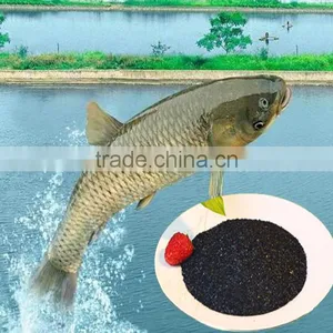 Organic Fish Fertilizer thumbnail-1