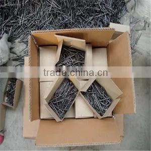 1/2"-13" High Quality Common Nails/ Stainless Steel Nail thumbnail-4