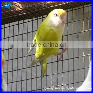 Heavy Gauge Bird Cage Wire Mesh Galvanized Welded Wire Mesh Panel 2x2 thumbnail-2