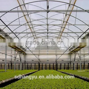 High Quality Mushroom Commercial Greenhouse thumbnail-5