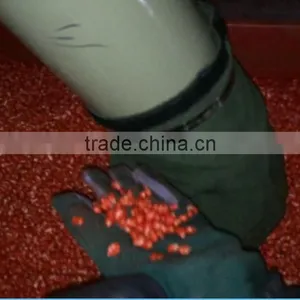 10T Non GMO Maize Seed Processing Plant for Seed Company thumbnail-6