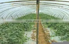Agriculture Greenhouse Film thumbnail-1